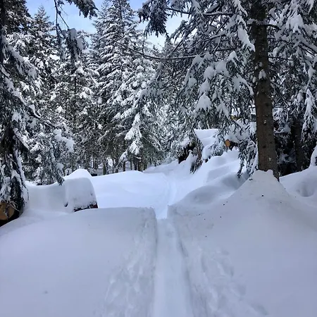 Bilocale Ai Piedi Delle Dolomiti Apartment *